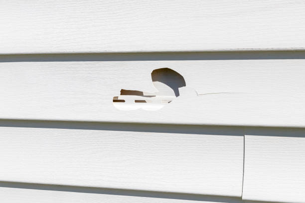 Best Hoarding Cleanup  in Shallotte, NC